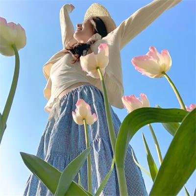 加斯帕·莫雷罗神秘探险记