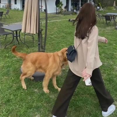 乖女唔易做